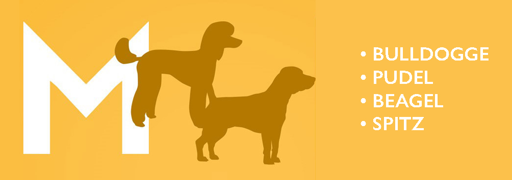 DENK Keramik Hundenapf M Granicium 1,6 Liter für mittelgroße und große Hunde | HMGR1 von DENK Keramik