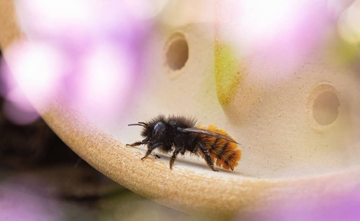 DENK Keramik Wildbienenhaus Blume CeraNatur - WBHB von DENK Keramik