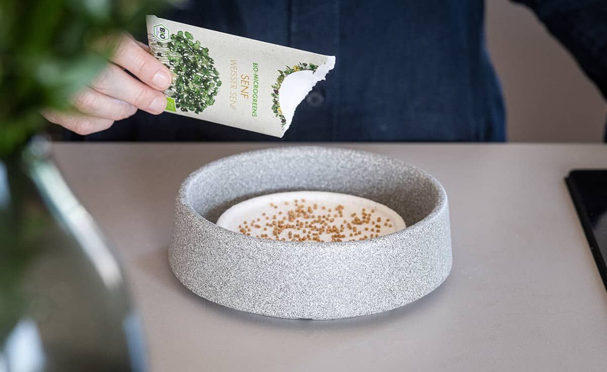 DENK Keramik Mikrogarten-Set Pflanzstation für Microgreens Granicium® | MGS von DENK Keramik