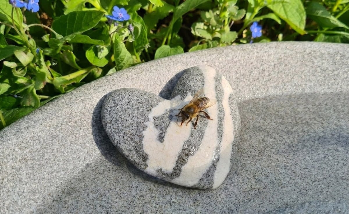 DENK Herz Duft- und Tränkenstein aus Keramik für Insekten und Raumduft - HDT