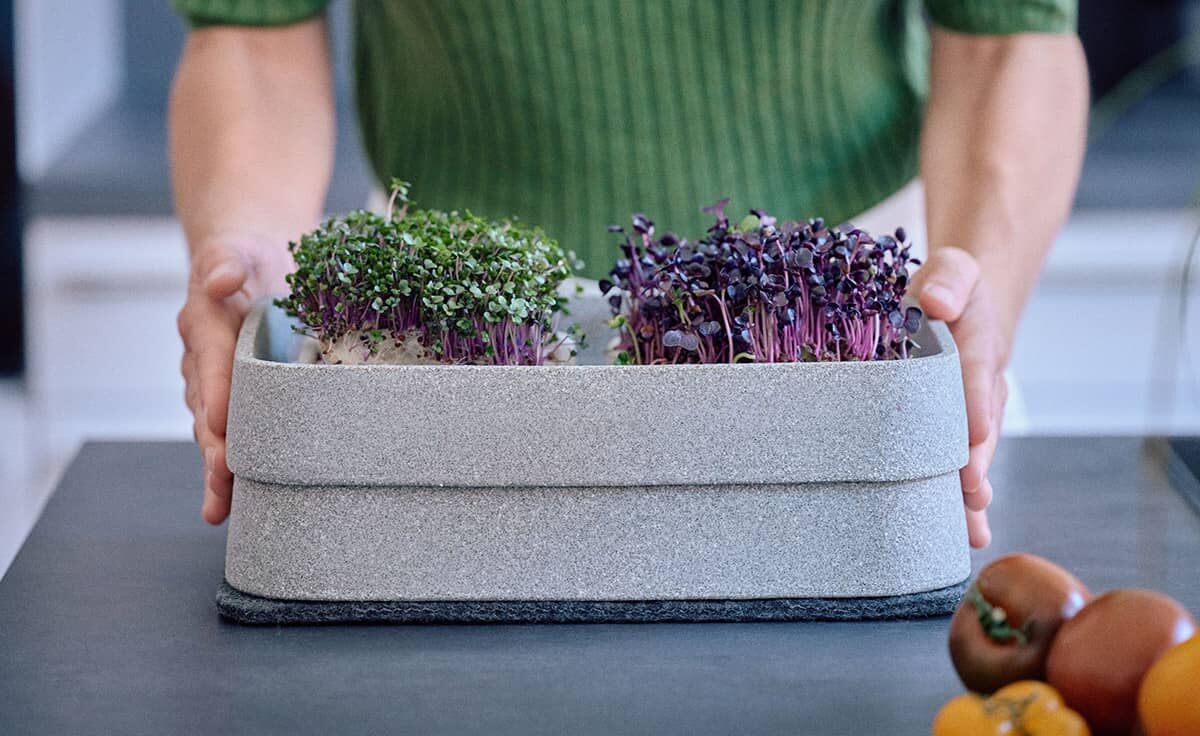 DENK Keramik Mikrogarten XL-SET Pflanzstation für Microgreens Granicium® | MGXL von DENK Keramik