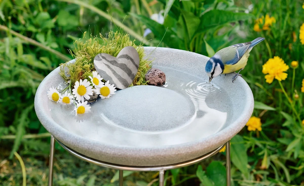 DENK Herz Duft- und Tränkenstein aus Keramik für Insekten und Raumduft - HDT