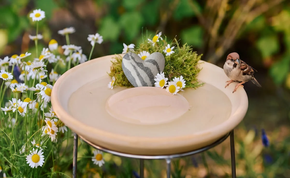 DENK Herz Duft- und Tränkenstein aus Keramik für Insekten und Raumduft - HDT
