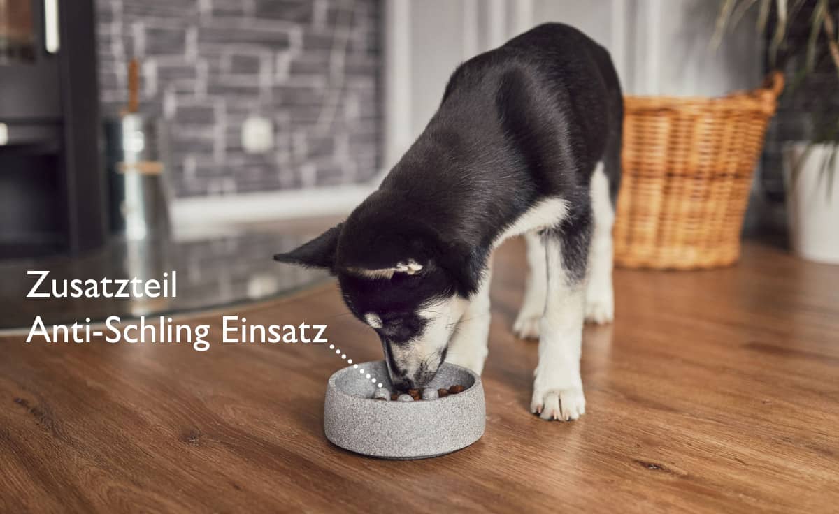 DENK Keramik Hundenapf S Granicium 550 ml für kleine Hunde | HSGR1 von DENK Keramik