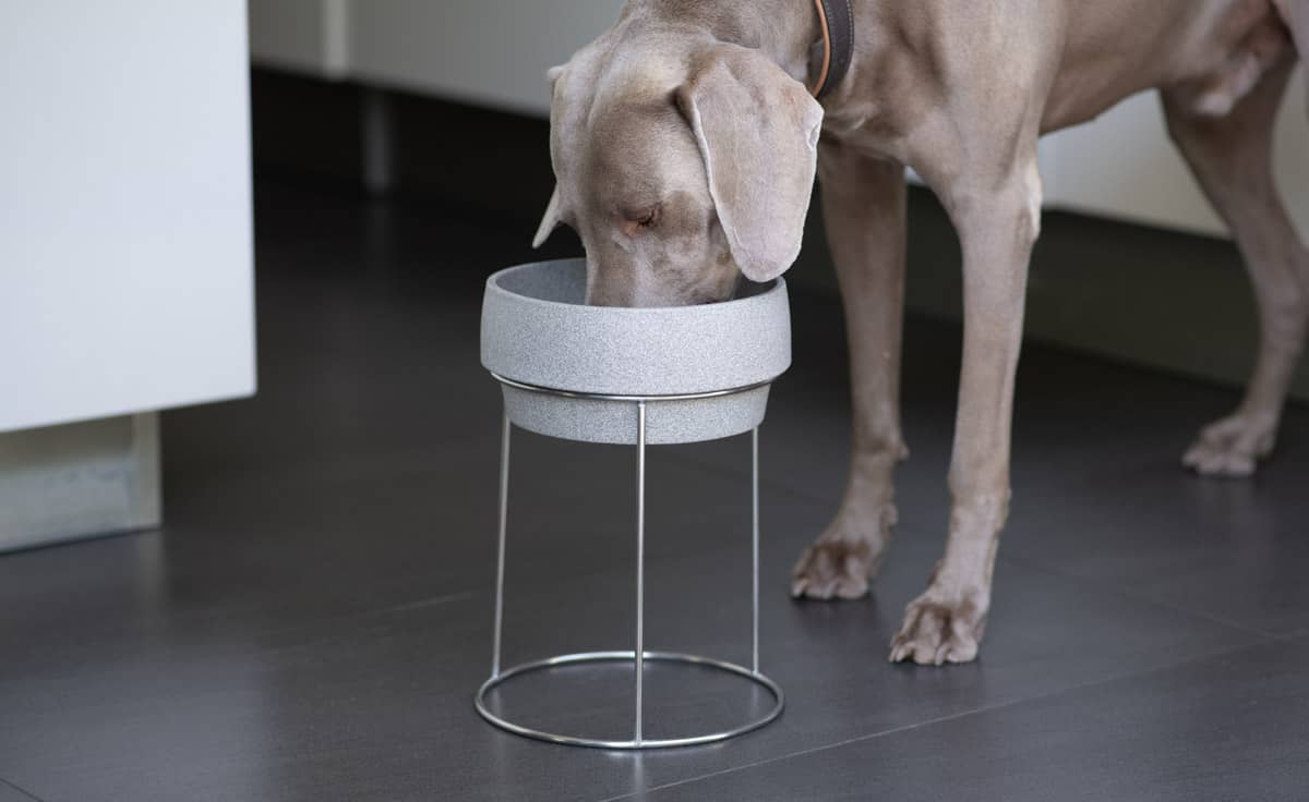 DENK Keramik Edelstahlständer für Hundenapf M und L 26 cm für große Hunde | EST1 von DENK Keramik