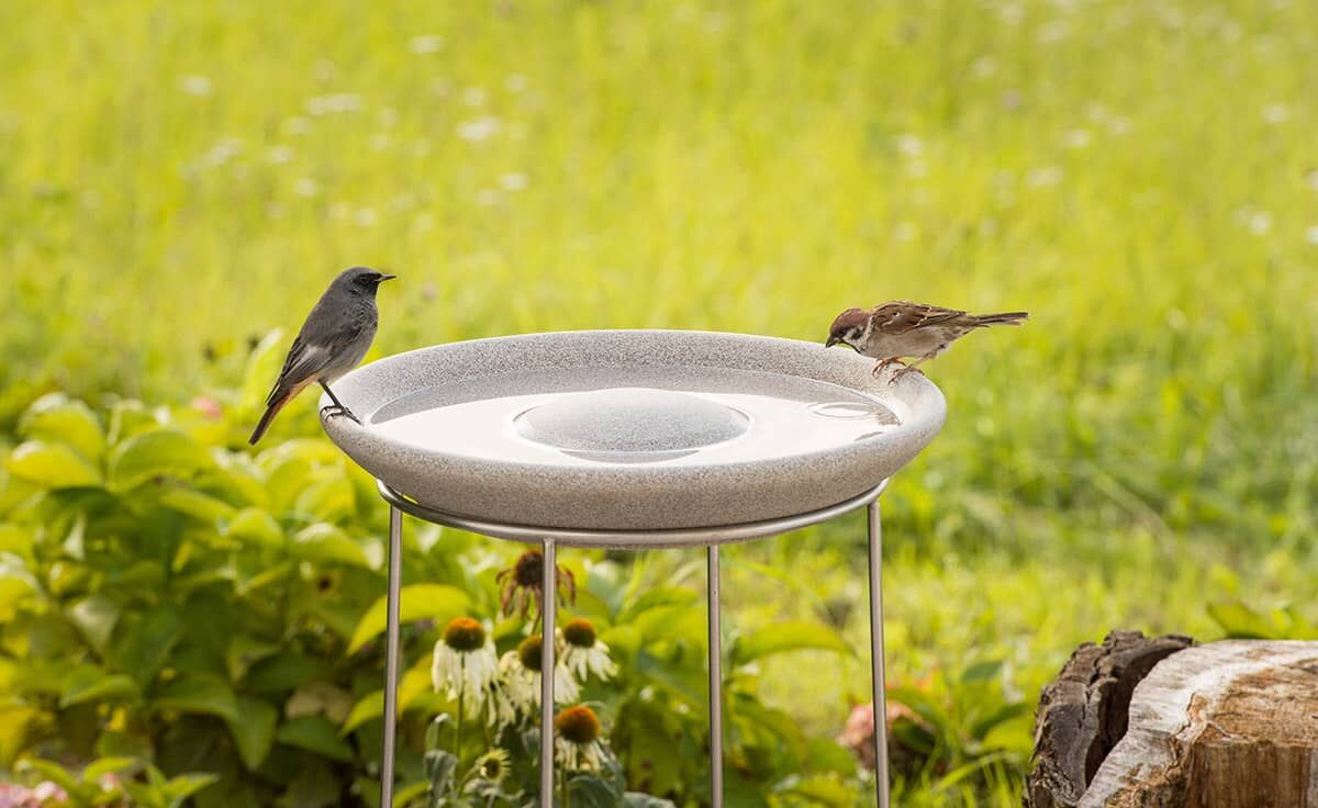 DENK Keramik Ständer für die Vogeltränke - VTG-ST von DENK Keramik